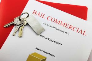 Bail Bail